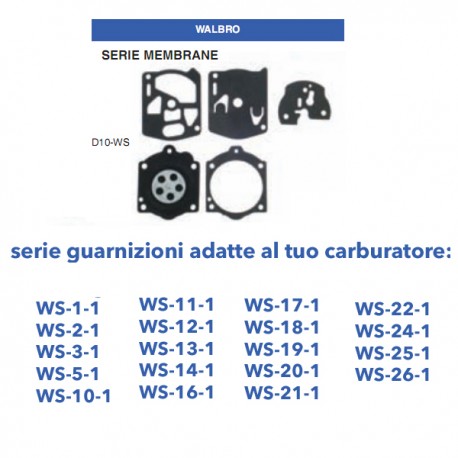 kit membrane e guarnizioni WALBRO D10-WS