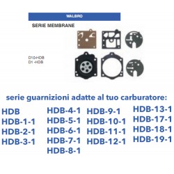 kit membrane e guarnizioni WALBRO D10-HDB